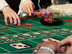 熊猫体育下载最新版